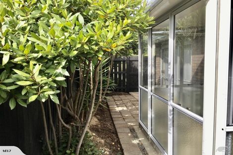 Photo of property in 11a Hibiscus Avenue, Mount Maunganui, 3116