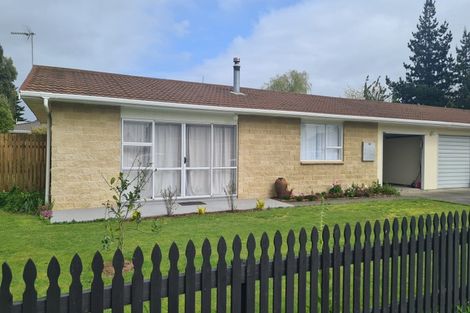 Photo of property in 131a Solway Crescent, Solway, Masterton, 5810