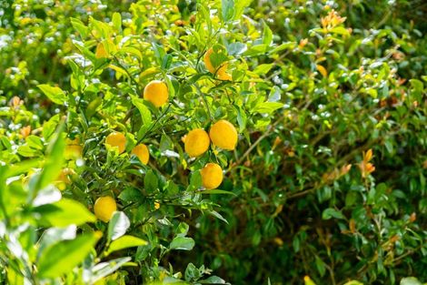 Photo of property in 94 Mcleod Street, Elderslea, Upper Hutt, 5018