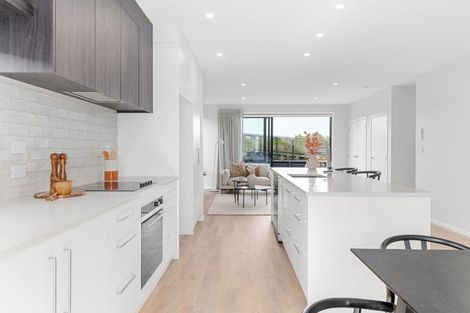 Photo of property in 51 Musselwhite Terrace, Chartwell, 3210