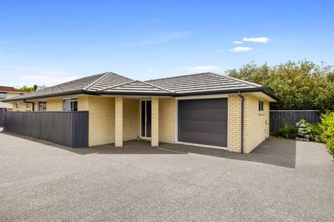 Photo of property in 48 Wallace Place, Westown, New Plymouth, 4310