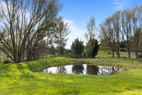 Photo of property in 1122 Oneriri Road, Kaiwaka, 0573