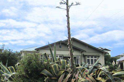 Photo of property in 167 Coutts Street, Rongotai, Wellington, 6022