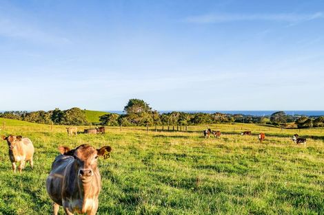 Photo of property in 1202 Frankley Road, Hurworth, New Plymouth, 4371