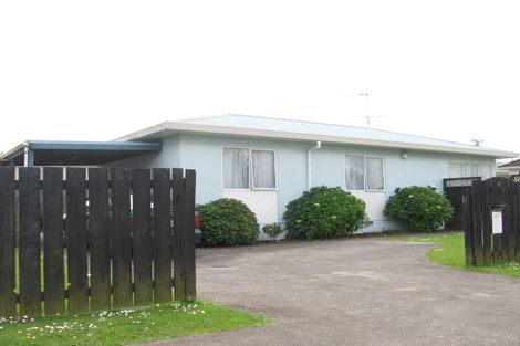 Photo of property in 213 Puhinui Road, Papatoetoe, Auckland, 2025