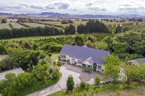 Photo of property in 1070a Matawai Road, Ormond, Gisborne, 4071