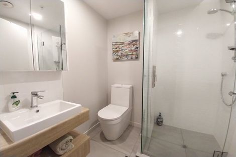 Photo of property in Pinnacle Apartments, E501/160 Victoria Street, Te Aro, Wellington, 6011