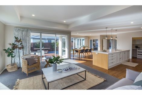 Photo of property in 117 Metehau Street, Marshland, Christchurch, 8083