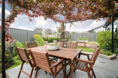 Photo of property in 19 Meissner Road, Havelock North, 4130