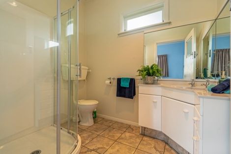 Photo of property in 80 Limbrick Street, Terrace End, Palmerston North, 4410