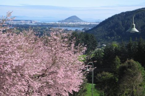 Photo of property in 157b Kaiate Falls Road, Waitao, Tauranga, 3175