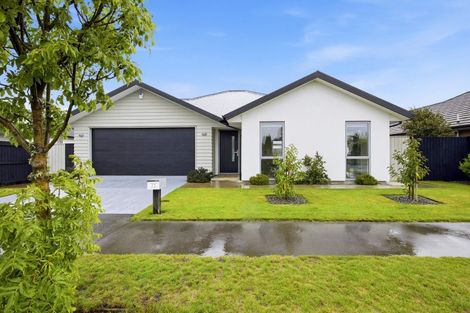 Photo of property in 73 Te Rito Street, Marshland, Christchurch, 8083
