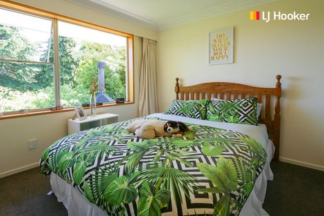 Photo of property in 39 Kirkwall Street, Palmerston, 9430