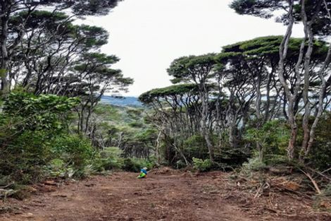 Photo of property in 290 Mount Cargill Road, Mount Cargill, Waitati, 9085