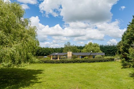 Photo of property in 191 Hautapu Road, Pukemoremore, Cambridge, 3493