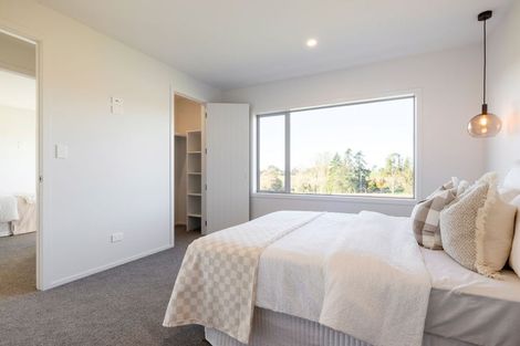 Photo of property in 25 Lumino Terrace, Peacocke, 3206