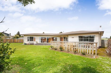 Photo of property in 117 Derby Street, Feilding, 4702