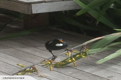 Photo of property in 5 Powell Place, Charleston, Cape Foulwind, 7892