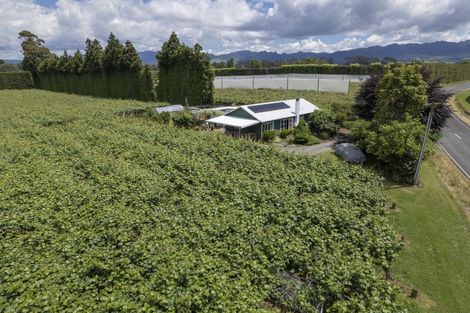 Photo of property in 186 Beach Road, Katikati, 3178