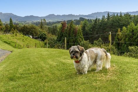 Photo of property in 101 Turntable Hill Road, Whakamarama, Katikati, 3181