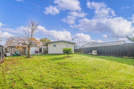 Photo of property in 9 Totara Place, Pahiatua, 4910