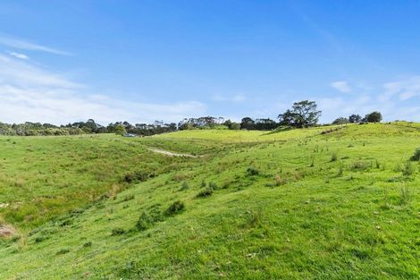 Photo of property in 132b Gatfield Road, Kaukapakapa, 0873