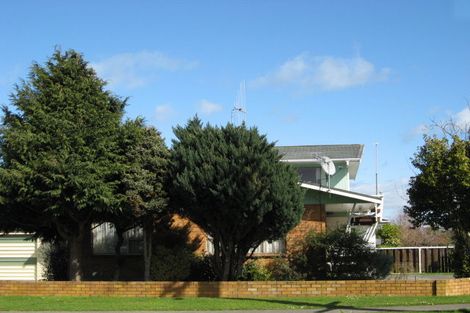 Photo of property in 90 Macarthur Street, Levin, 5510