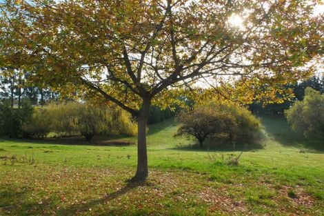Photo of property in 186 Claremont Road, Otipua Creek, Timaru, 7974