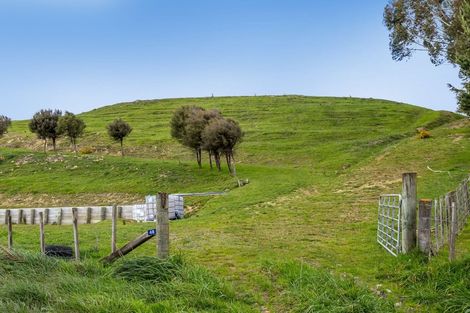 Photo of property in 48 Norsewood Ormondville Road, Norsewood, 4974