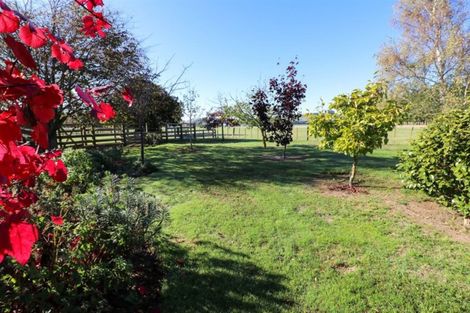 Photo of property in 210 Cowper Road, Dannevirke, 4976