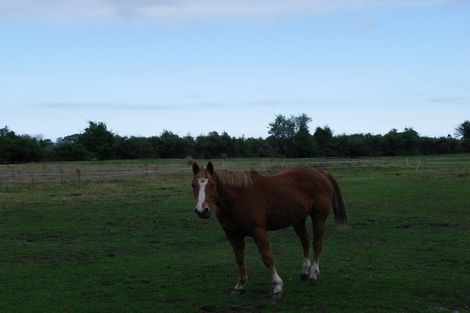 Photo of property in 38c Titoki Drive, Kaikoura Flat, Kaikoura, 7371