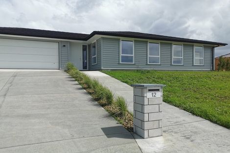 Photo of property in 12 Clendon Court, Pokeno, 2402