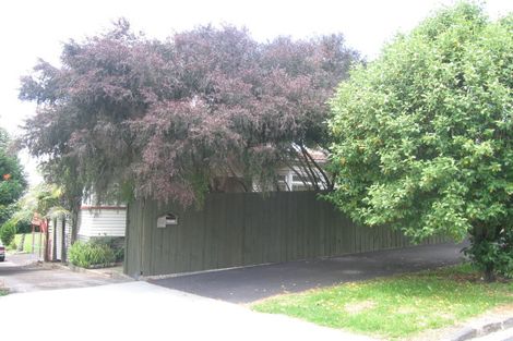 Photo of property in 27 Adam Street, Greenlane, Auckland, 1051
