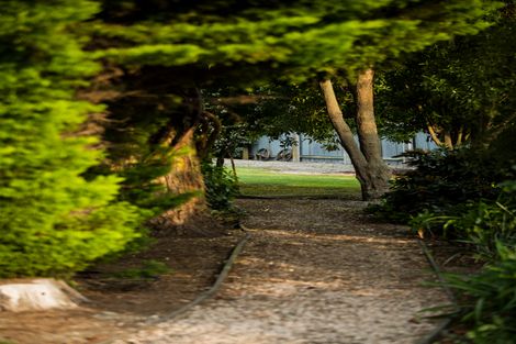 Photo of property in 336 King Street, Temuka, 7920