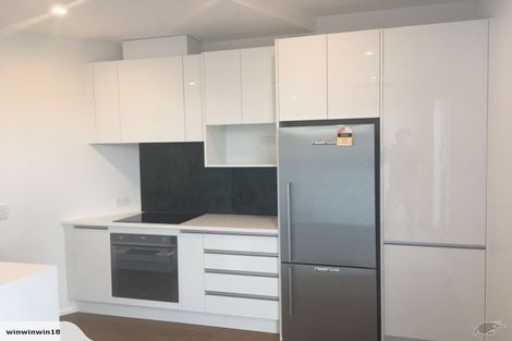 Photo of property in 3/246g Khyber Pass Road, Grafton, Auckland, 1023