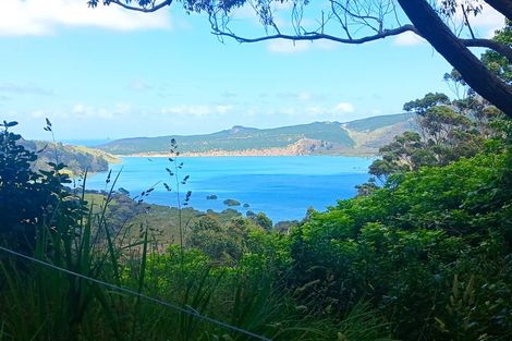 Photo of property in 184 Whangape Road, Herekino, Kaitaia, 0481