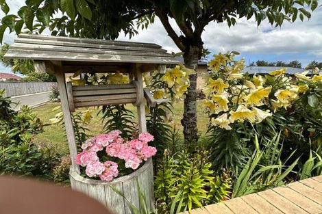 Photo of property in 18 Mauchline Street, Wallacetown, 9816