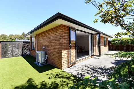 Photo of property in 127a Boundary Road, Claudelands, Hamilton, 3214