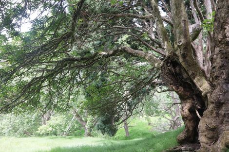 Photo of property in 5 James Road, Huntly, 3771