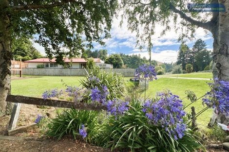 Photo of property in 169a Hautapu Street, Taihape, 4720