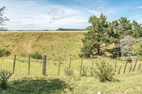 Photo of property in 21 Burtts Road, Durie Hill, Whanganui, 4500