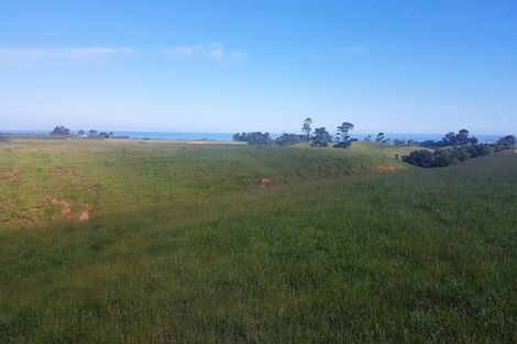 Photo of property in 51 Weld Street, Feilding, 4702