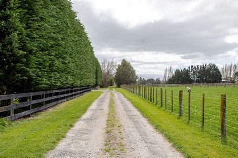 Photo of property in 185a Tipapakuku Road, Dannevirke, 4930