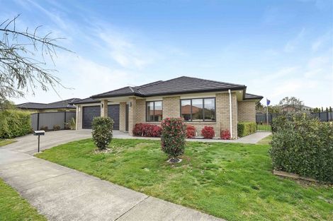 Photo of property in 11 Stan Heather Drive, Glenview, Hamilton, 3206