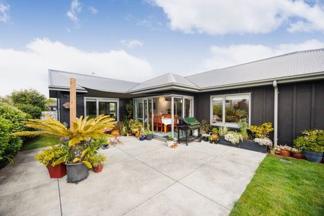 Photo of property in 4 Poplar Grove, Feilding, 4702