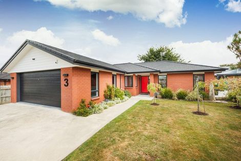 Photo of property in 3 Morgan Mews, Feilding, 4702