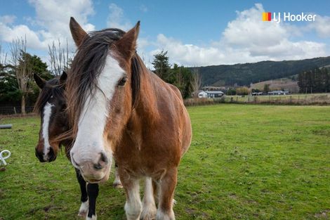 Photo of property in 480 Riccarton Road West, North Taieri, Mosgiel, 9092