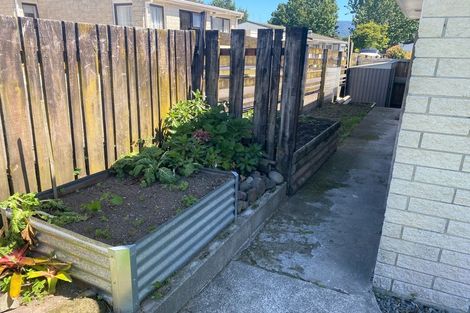 Photo of property in 45b Moehau Street, Te Puke, 3119