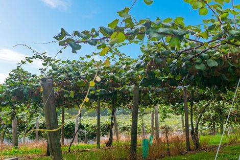 Photo of property in 37 Jacks Lane, Oropi, Tauranga, 3173