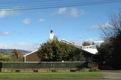 Photo of property in 86 Macarthur Street, Levin, 5510
